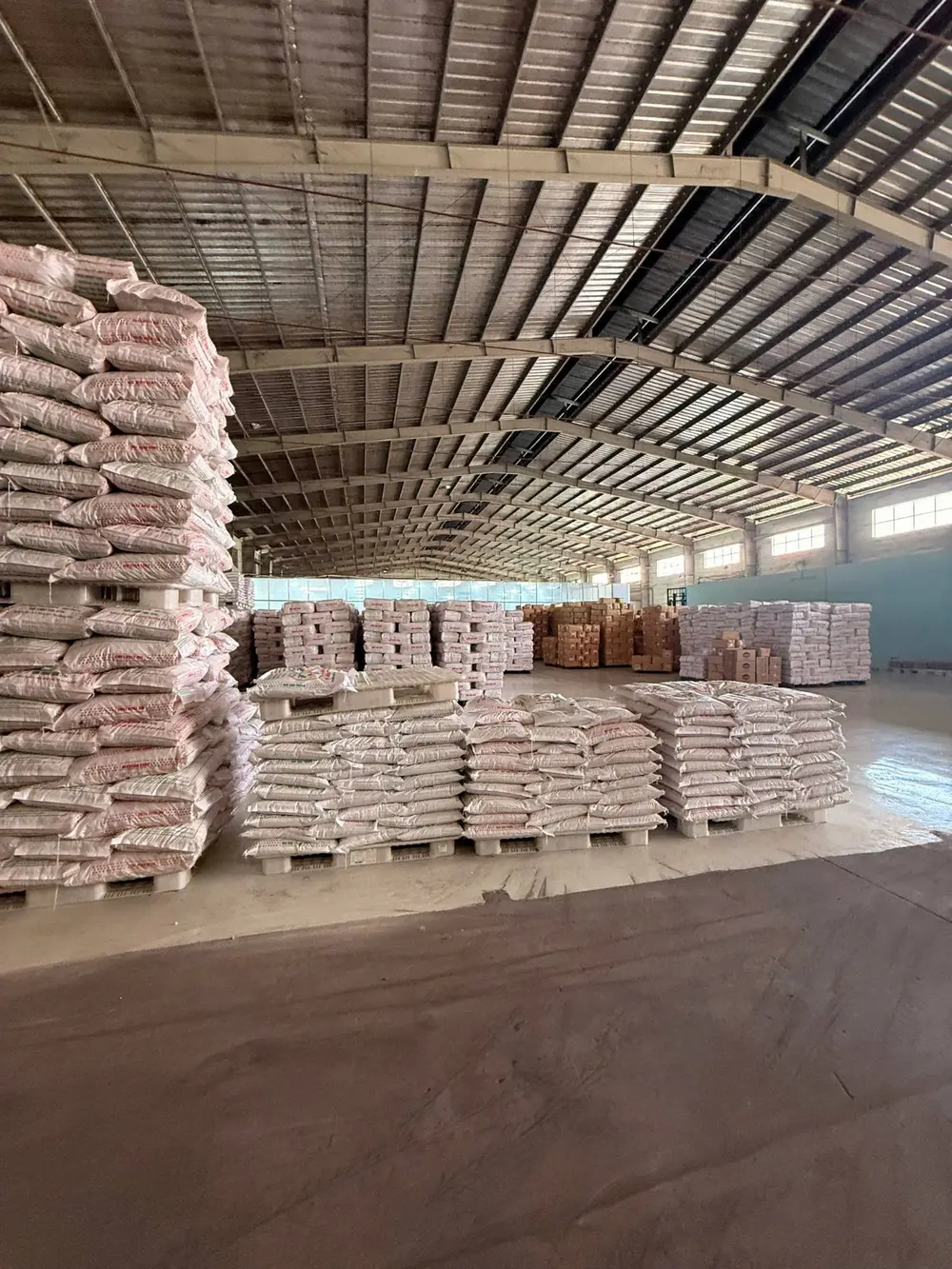 Hàng bao xếp chồng cao trên pallet nhựa trong nhà kho mái tôn khung thép